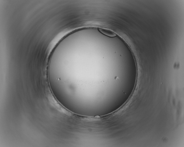X0000114001296200910021307