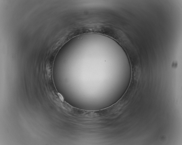 X0000114001298200910021307