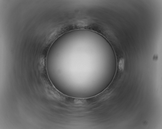 X0000114001299200910021307