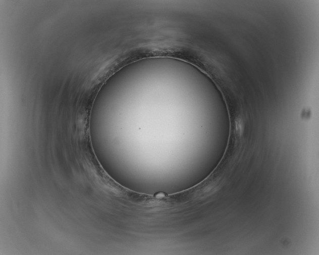 X0000114001300200910021307