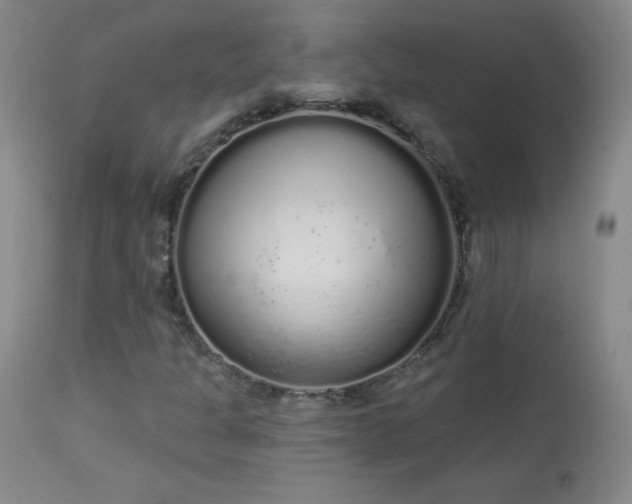 X0000114001301200910021307