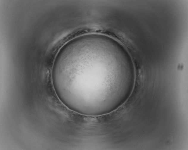 X0000114001302200910021307