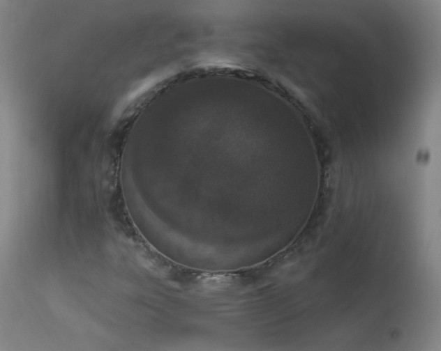 X0000114001303200910021307
