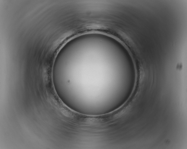 X0000114001305200910021307
