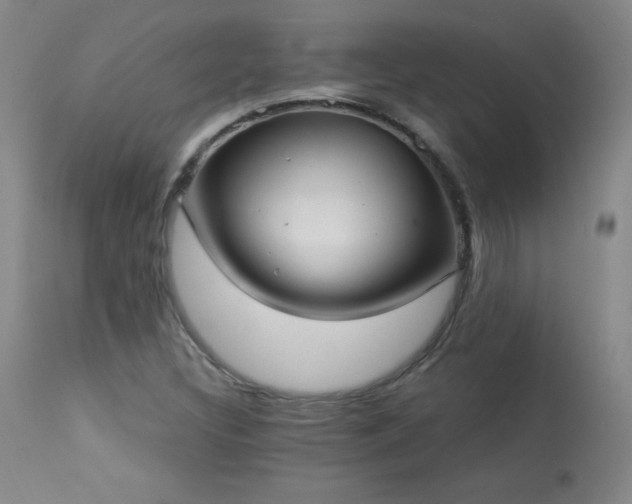 X0000114001308200910021307