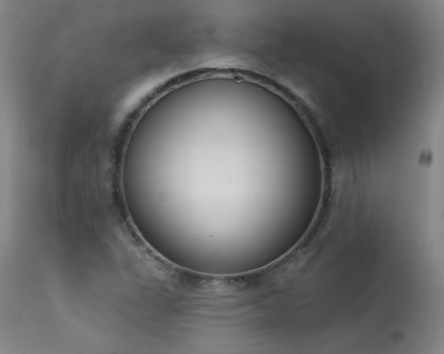 X0000114001311200910021307