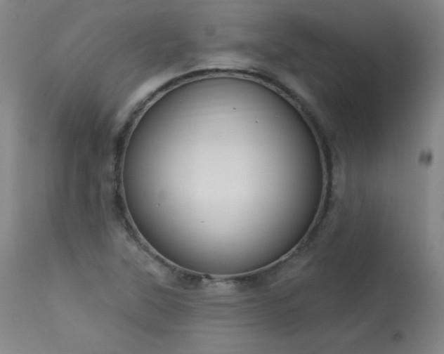 X0000114001315200910021307