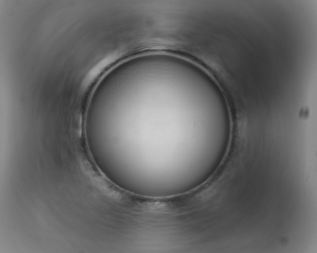X0000114001317200910021307
