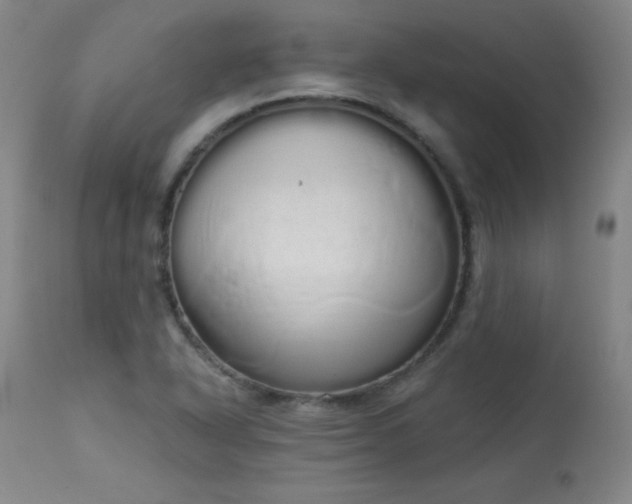 X0000114001318200910021307