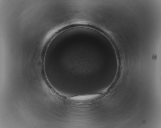 X0000114001319200910021307