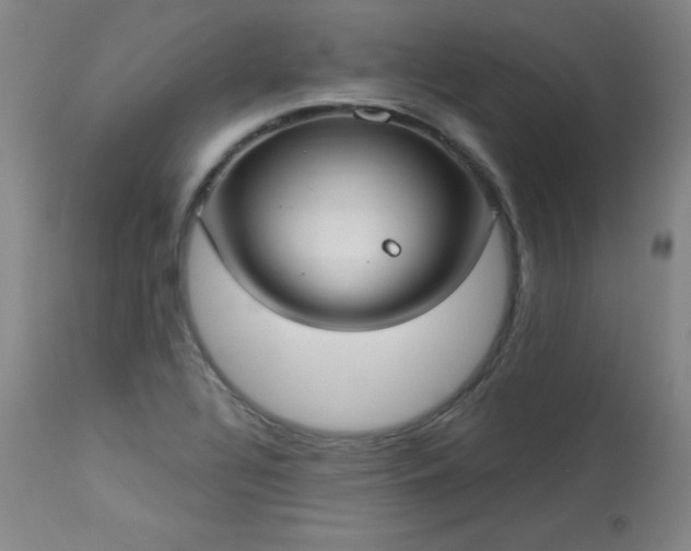 X0000114001320200910021307