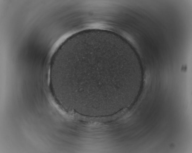 X0000114001323200910021307