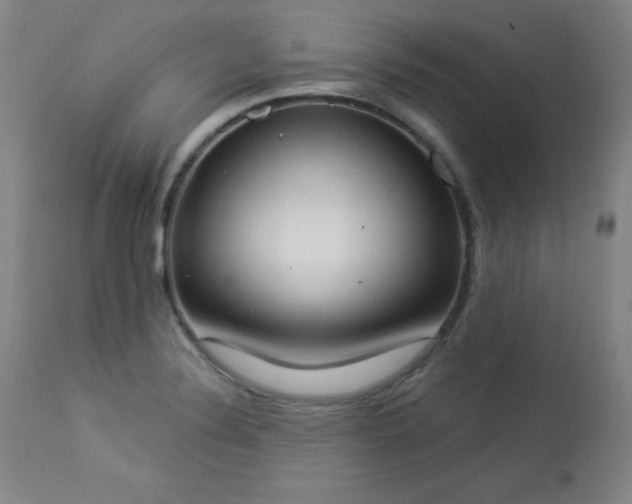 X0000114001324200910021307
