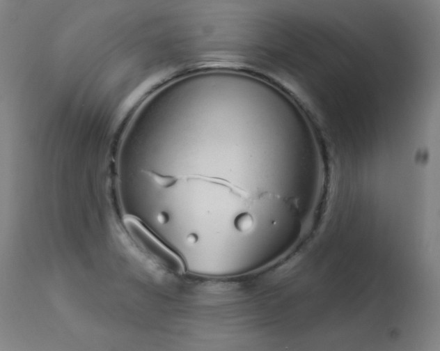 X0000114001325200910021307