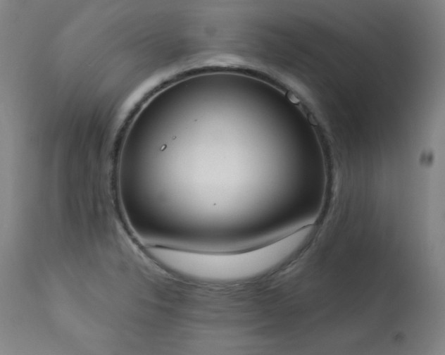X0000114001326200910021307
