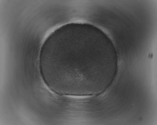 X0000114001327200910021307