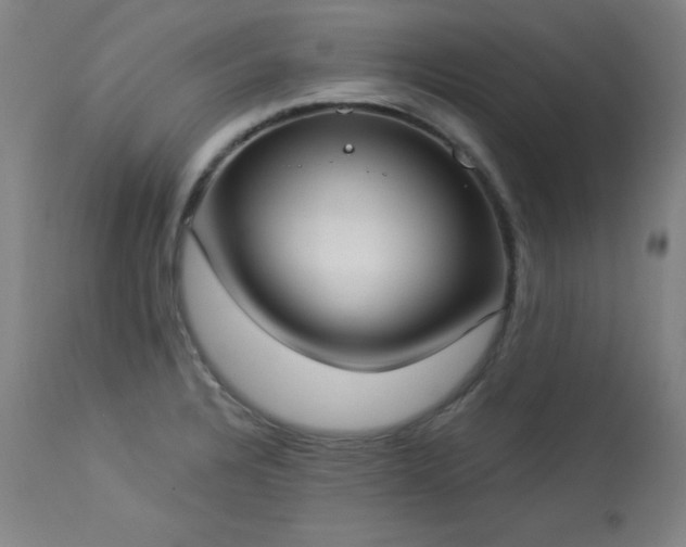 X0000114001328200910021307