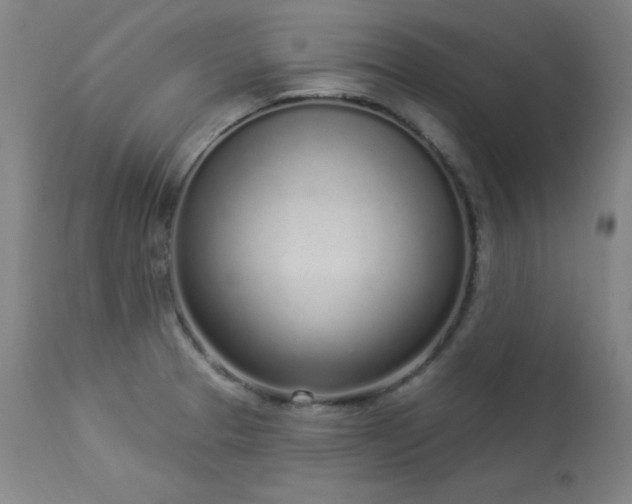 X0000114001329200910021307