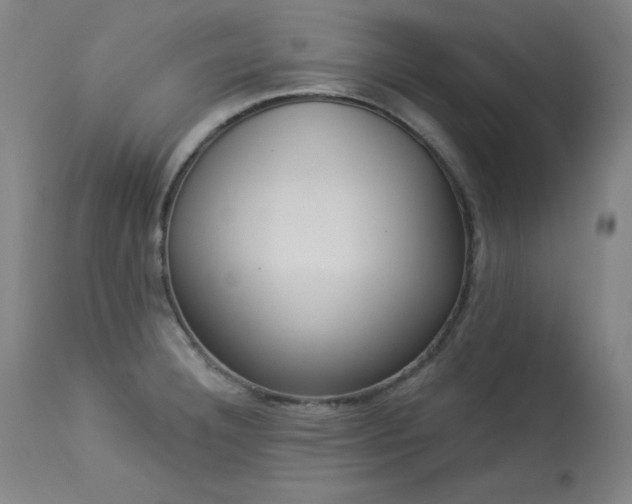 X0000114001332200910021307