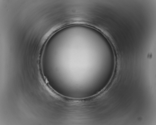 X0000114001333200910021307