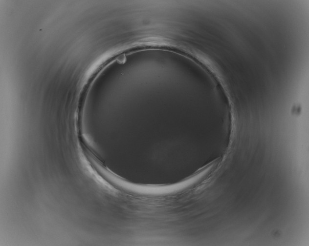 X0000114001334200910021307