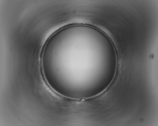 X0000114001335200910021307