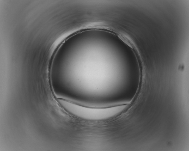 X0000114001336200910021307