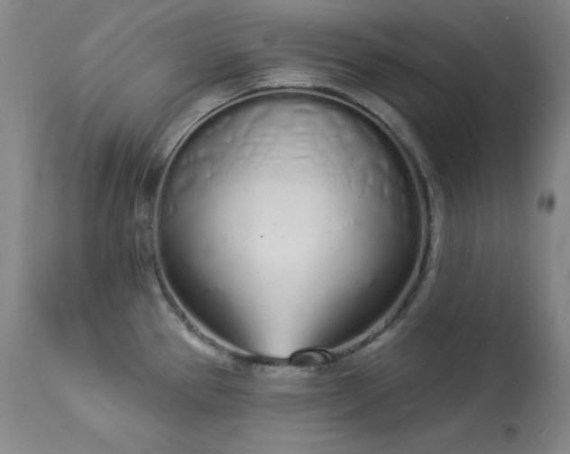 X0000114001337200910021307