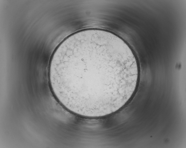 X0000114001338200910021307