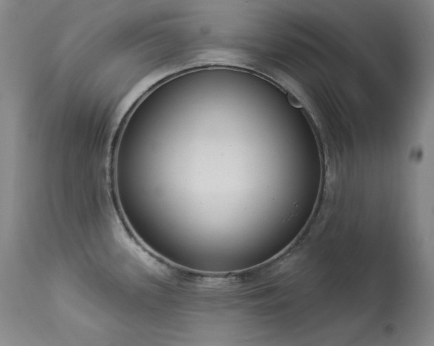 X0000114001339200910021307