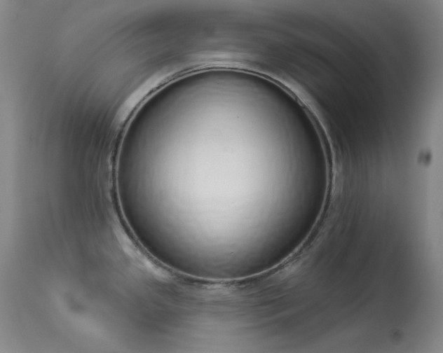 X0000114001341200910021307