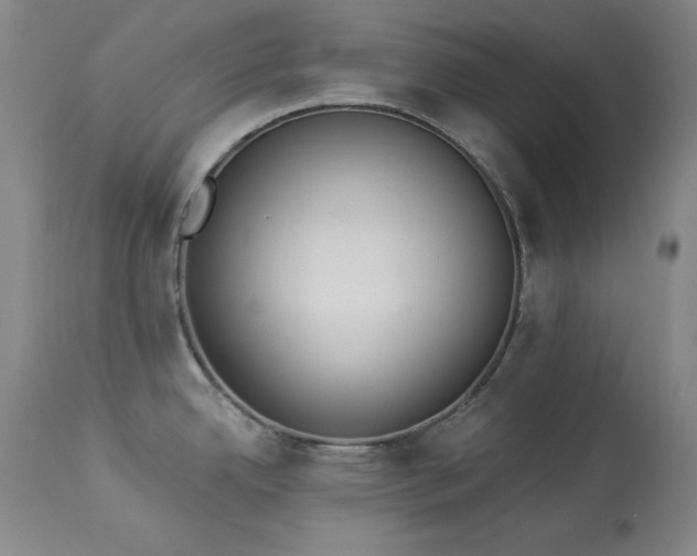 X0000114001342200910021307