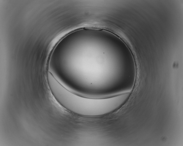 X0000114001344200910021307