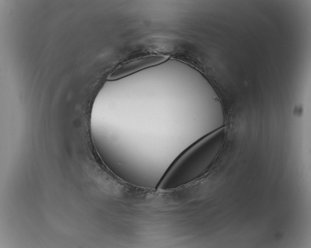 X0000114001345200910021307