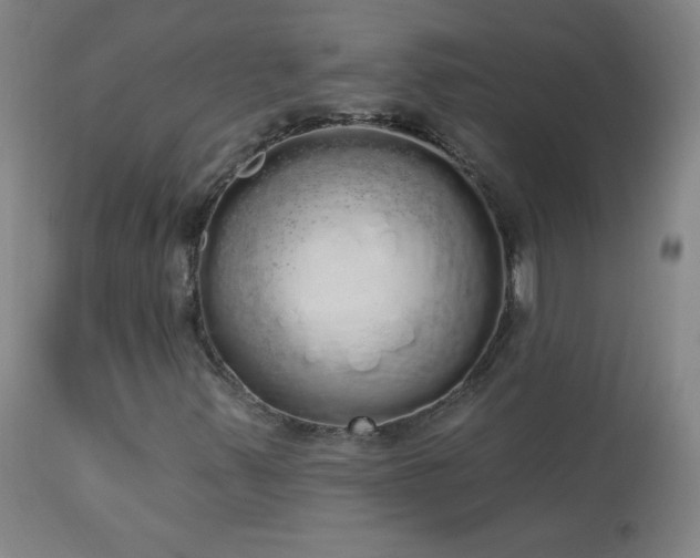 X0000114001347200910021307