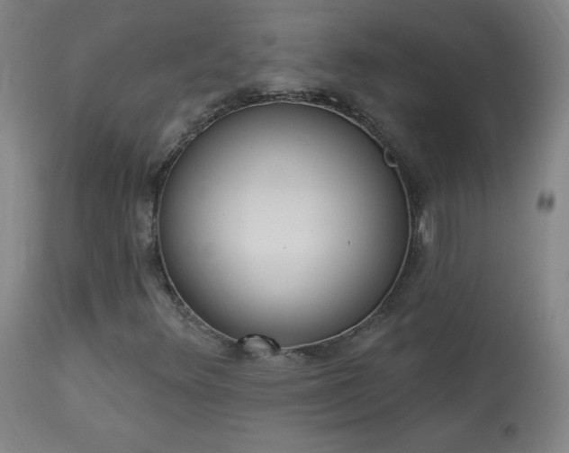 X0000114001348200910021307
