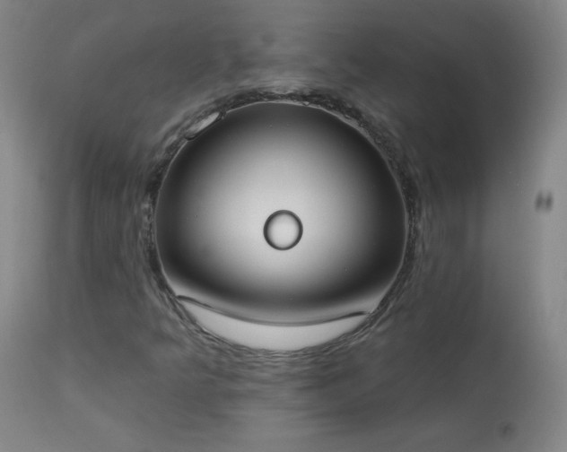 X0000114001349200910021307