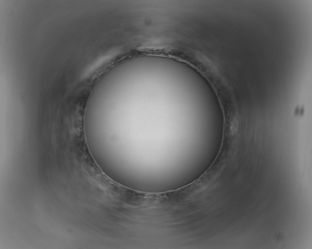 X0000114001350200910021307