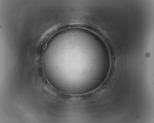 X0000114001351200910021307
