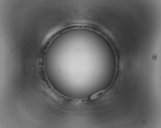 X0000114001352200910021307