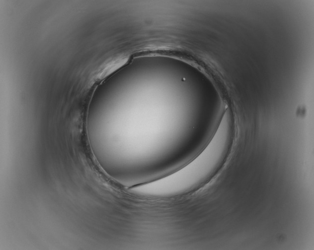 X0000114001353200910021306