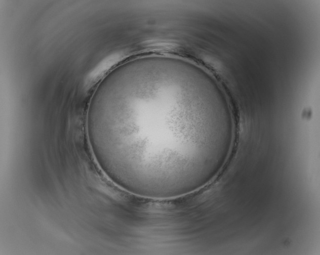 X0000114001354200910021306