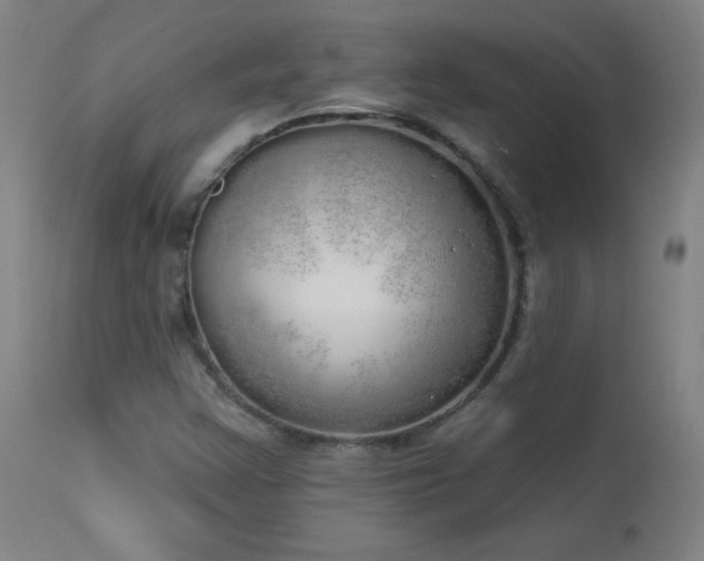 X0000114001355200910021306