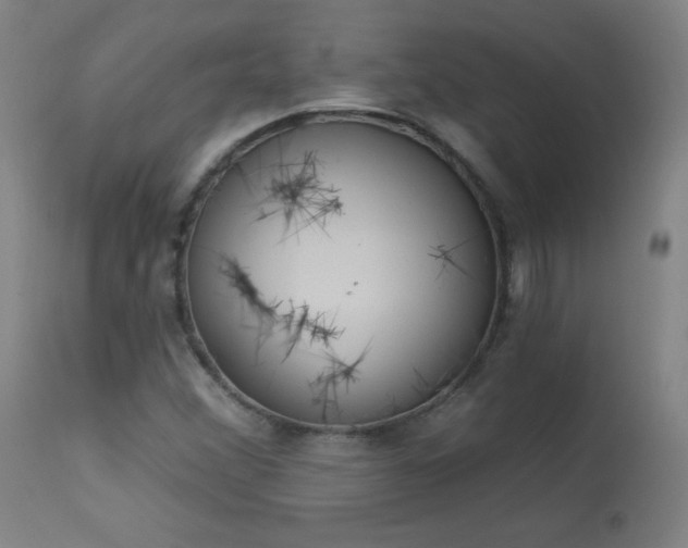 X0000114001356200910021306