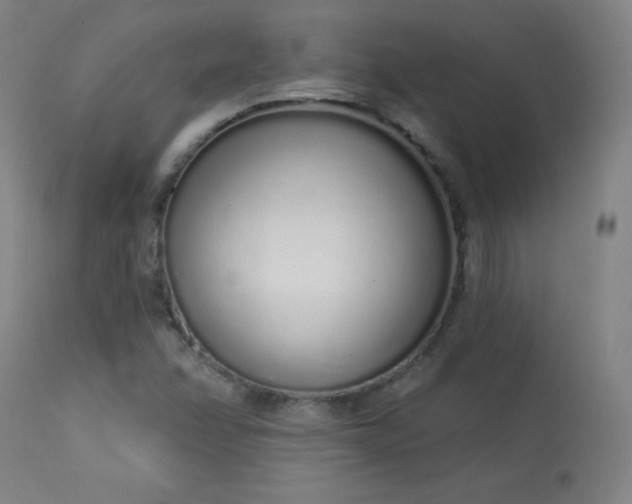 X0000114001358200910021306