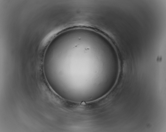 X0000114001359200910021306