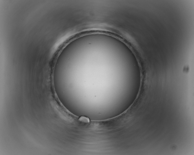 X0000114001360200910021306