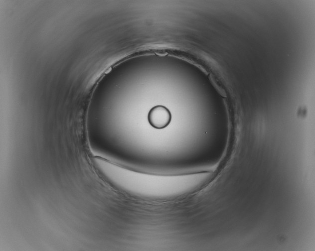 X0000114001361200910021306