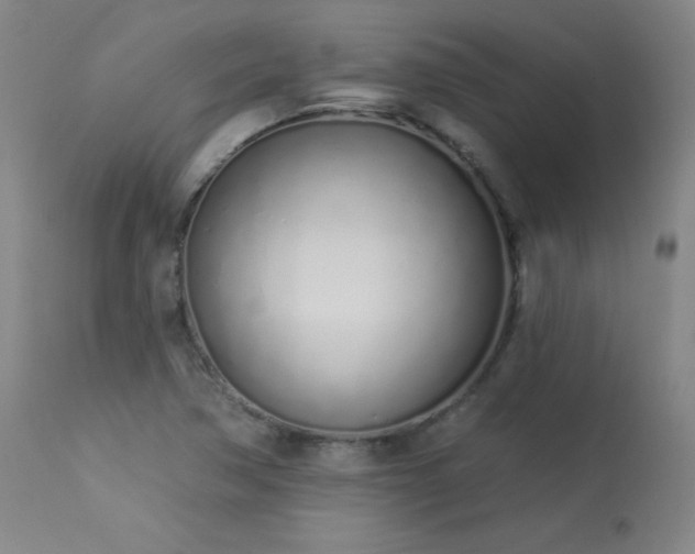 X0000114001362200910021306