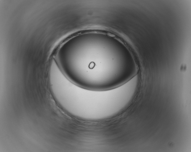 X0000114001364200910021306